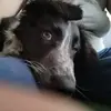 Markus Driver - @markus.driver - TikTok