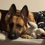 Marcus Duffield - @marcus_duffield - Instagram