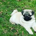 marcus duke - @marcusduke29 - Instagram