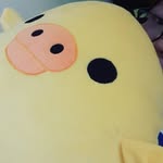 Marcus Duke Of Duckilington - @marcus_the_duck_life - Instagram