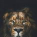 Marcus Dwyer - Facebook