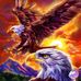 Marcus Dwyer - Facebook