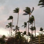 @marcus_dyer - Instagram