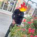 Marcus Earl - Facebook