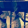 marcuseastman188 - @marcuseastman1 - TikTok