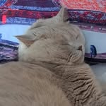Marcus Beckert - @beckertmarcus - Instagram