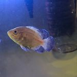 Fishman Marcus - @marcusector - Instagram