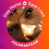 Marcus Redmond - @marcus.redmond - TikTok