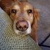 Mark Eggleston - Facebook
