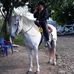 Marcus el potrillo majano - Facebook