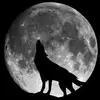 Marcus Wellington - @marcus.wellington7 - TikTok