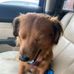 Mark Ellington - Facebook