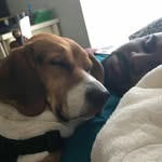 Marcus Antoine Embry II - @marcusembryii - Instagram