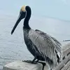 marcuskokesch - @marcuskokesch - TikTok