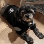 Marcus Espinosa - @oaktownraidernation - Instagram