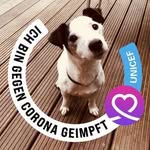 Marcus Faust - @faust_marcus - Instagram