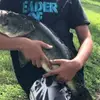 marcus fishong - @marcus.fishing - TikTok