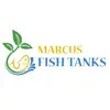 MarcusFishTanks - @marcusfishtanks - TikTok
