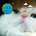 Marcus Flores - Facebook