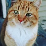 marcus flynn - @z_type_master - Instagram