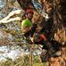 Marcus Foote - Facebook