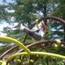 Marcus Ford - Facebook