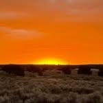 Marcus Forrester - @forrester_marcus - Instagram
