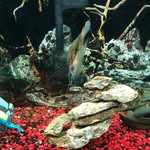 Marcus Fowler - @marcus.fowler.330 - Instagram