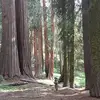 Marcus Fraser - @2163090396 - TikTok