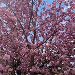 Marcus Fraser - @marcusfraser4 - Instagram