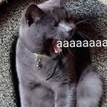 Marcus Garber - @marcus_cj9858 - Instagram