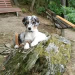 Marcus Gebauer - @marcusgebauer - Instagram