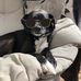 Marcus Geiger - Facebook