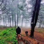 Marcus Geiger - @servusbabu - Instagram