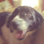 Marcus Gillespie - @marcus.gillespie.3517 - Instagram