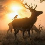 Marcus Glaser - @glaser.marcus - Instagram