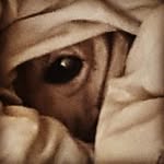 marcus-glynn - @marcusglynn2 - Instagram