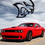 Marcus Goddard - @marcus.goddard02 - Instagram