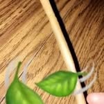 Marcus Goldsmith - @marcus.goldsmith.7509 - Instagram