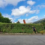 Marcus Gower - @marcogower - Instagram