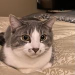 Milo Marcus Grabowski - @sir.milo.grabowski - Instagram