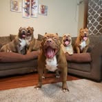 Marcus Graham - Facebook