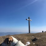 Marcus Gray - @marcusgray25g - Instagram