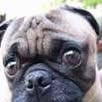 Marcus Griebel - Facebook