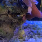 Marcus le drunken fish guy - @mcjkfishguy - Instagram
