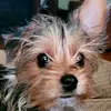 marcushackney3 - @marcus_theunknown - TikTok