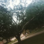 marcus - @hadnotmarcuslh05 - Instagram