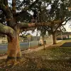Marcus hand - @marcus_hand0708 - TikTok