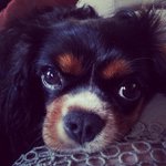 Marcus Hanks - @imillsen - Instagram