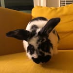 Marcus Arugula Harbin - @missmarcusarugula - Instagram